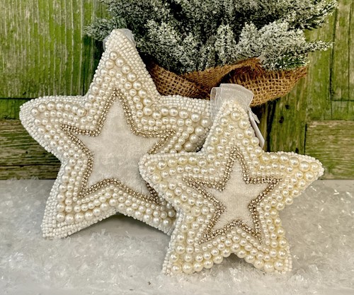 Nobile stern decorazione - nobile,